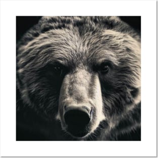 A brown bear in nature that looks cute and cuddly looks warm. Posters and Art